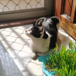 衷于它Pet Life宠物店:揭阳市榕城区八号街附近