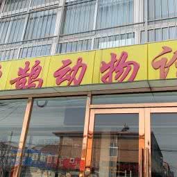 鸿鹄动物医院:天津城区滨海新区汉沽城区附近
