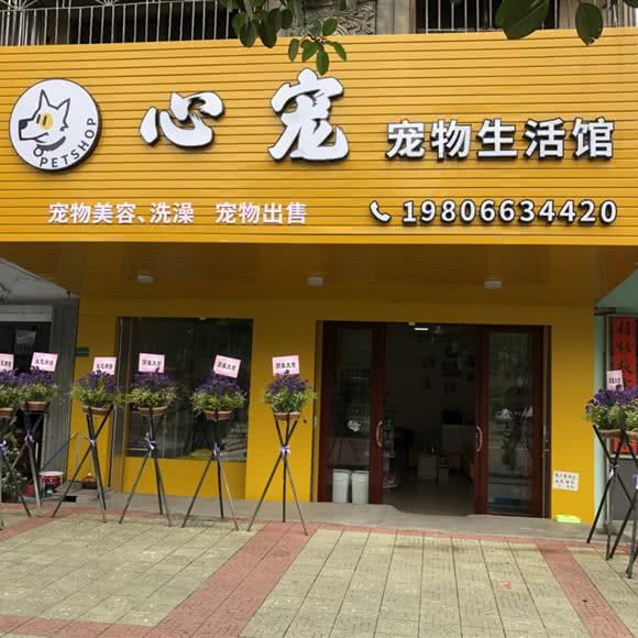 心宠宠物生活馆:揭阳市榕城区市政府附近