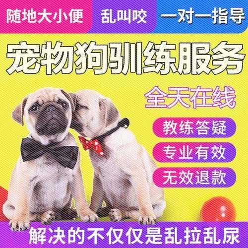 晨光训犬工作室:揭阳市榕城区一号路附近