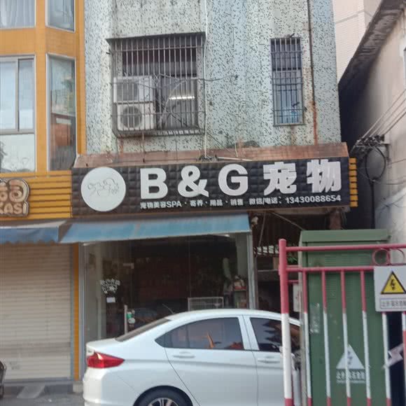 B&G宠物:揭阳市榕城区马牙路附近