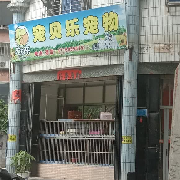 宠贝乐宠物:揭阳市榕城区马牙路附近