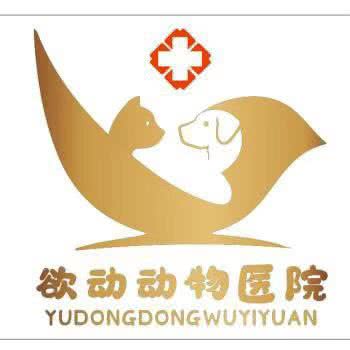 欲动动物医院:揭阳市榕城区马牙路附近