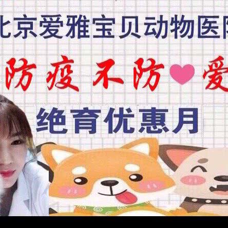 我爱我爱动物医院·爱雅宝贝分院:北京城区朝阳区双井附近
