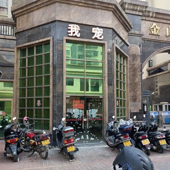 我宠:云浮市云城区云城区中心城区附近