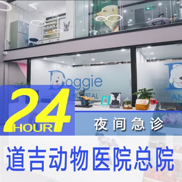 道吉動物醫院(总院):北京城区朝阳区双井附近