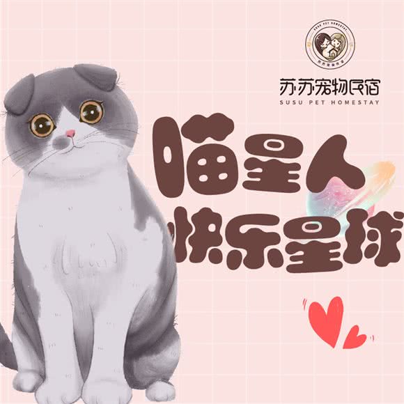 苏苏家庭式宠物寄养洗护:南宁市兴宁区金桥客运站附近