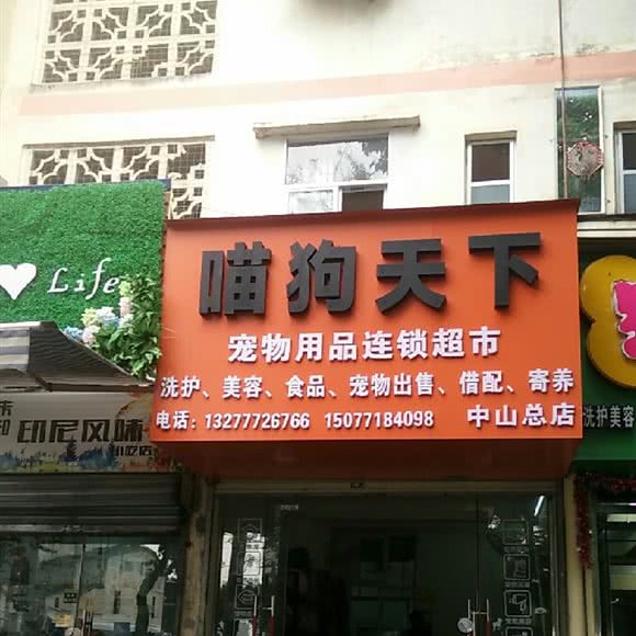 喵狗天下(中山路店):南宁市青秀区民族广场附近