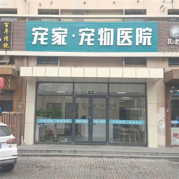 宠家·宠物医院:天津城区滨海新区塘沽工农村附近