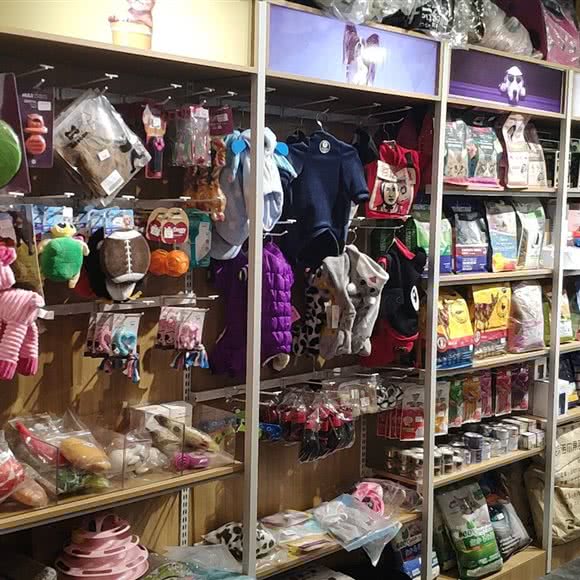 宠域萌宠:天津城区滨海新区新村附近