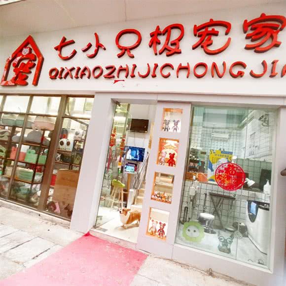 七小只极宠家:南宁市青秀区埌西附近