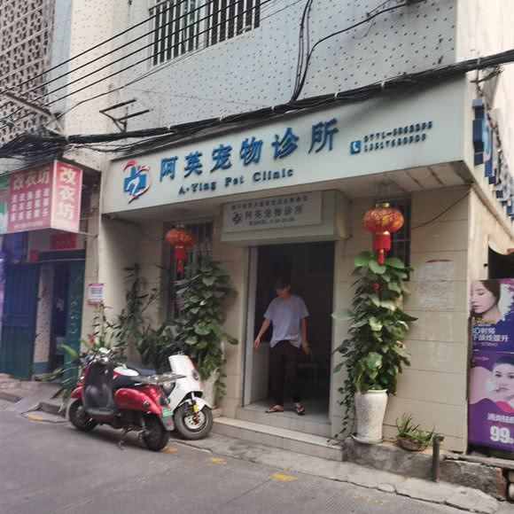 阿英动物医院:南宁市青秀区葛村路附近