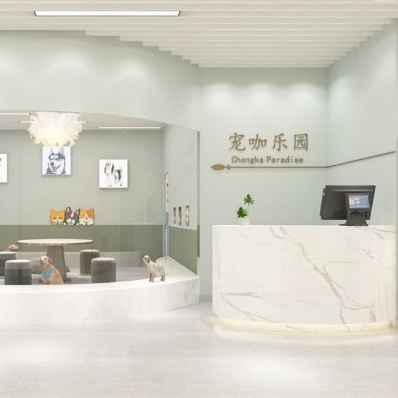 宠咖乐园:天津城区滨海新区响螺湾商圈附近
