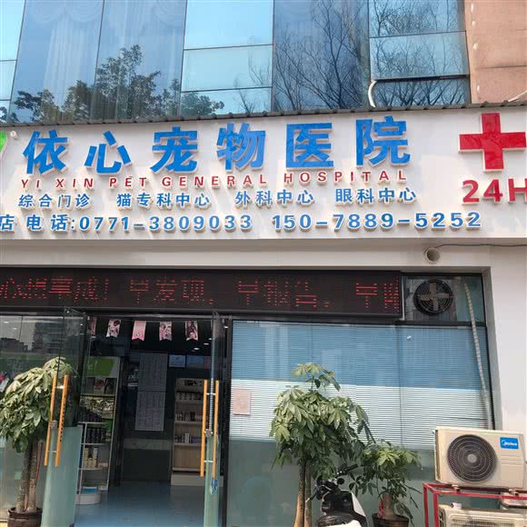 依心宠物医院(西大店):南宁市西乡塘区广西大学附近