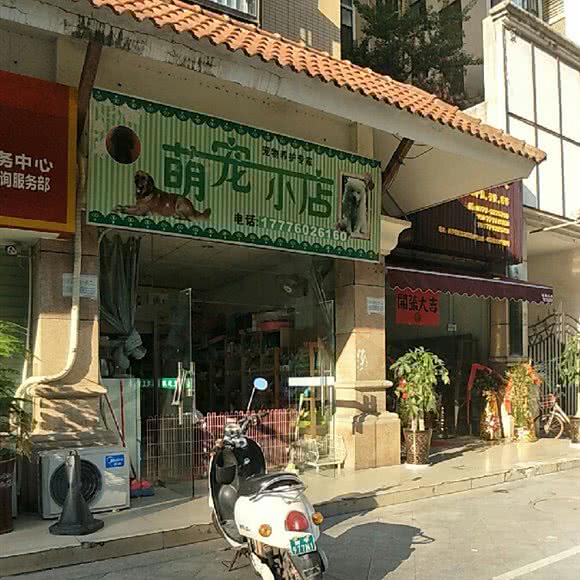 萌宠小商店:南宁市西乡塘区北湖附近