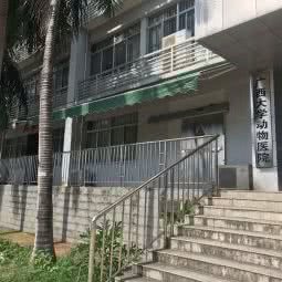 广西大学动物医院:南宁市西乡塘区鲁班路附近