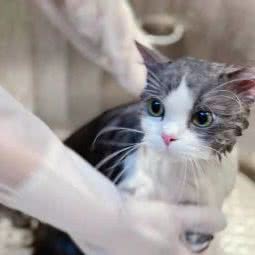 PETKIT小佩宠物(万丽泰达店):天津城区滨海新区开发区一二三大街附近