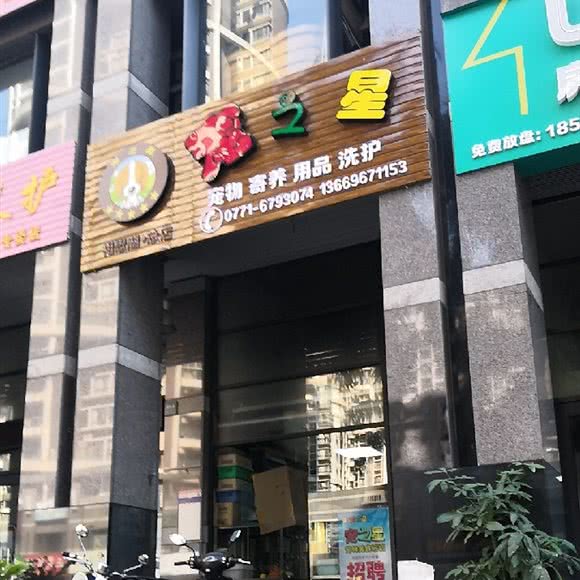 宠之星:南宁市西乡塘区相思湖附近