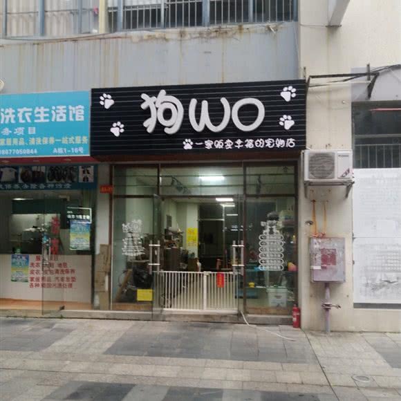 狗Wo宠物店:南宁市西乡塘区明秀路附近