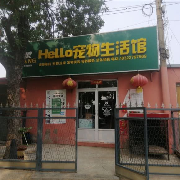 Girl宠物生活馆:天津城区宁河区宁河区附近