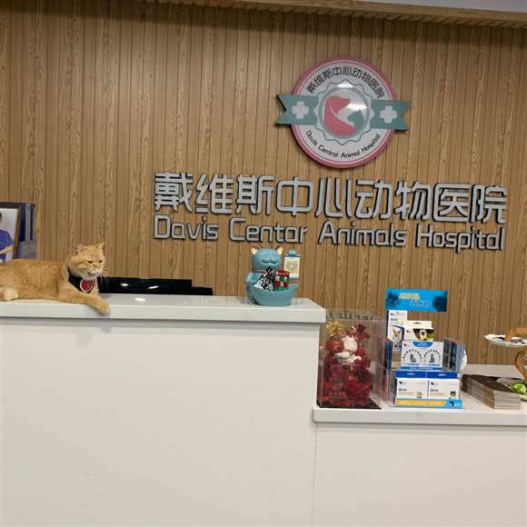 戴维斯宠物医院·24小时医疗中心:南宁市西乡塘区龙腾路附近