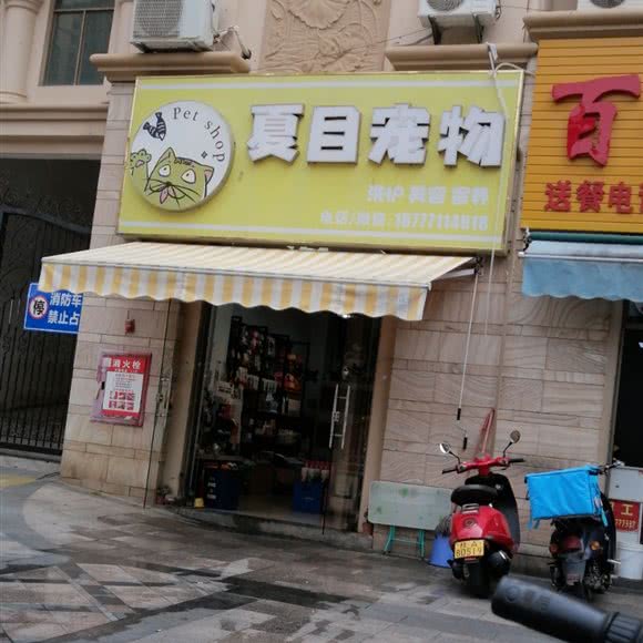夏日宠物:南宁市良庆区大沙田附近