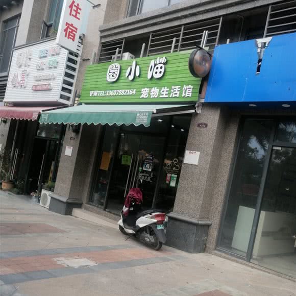 圈大喵:南宁市良庆区大沙田附近