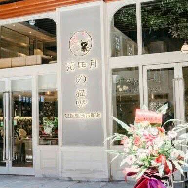 花田月＆猫咖:桂林市七星区万达广场附近