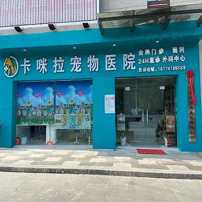 卡咪拉宠物医院:桂林市七星区万达广场附近
