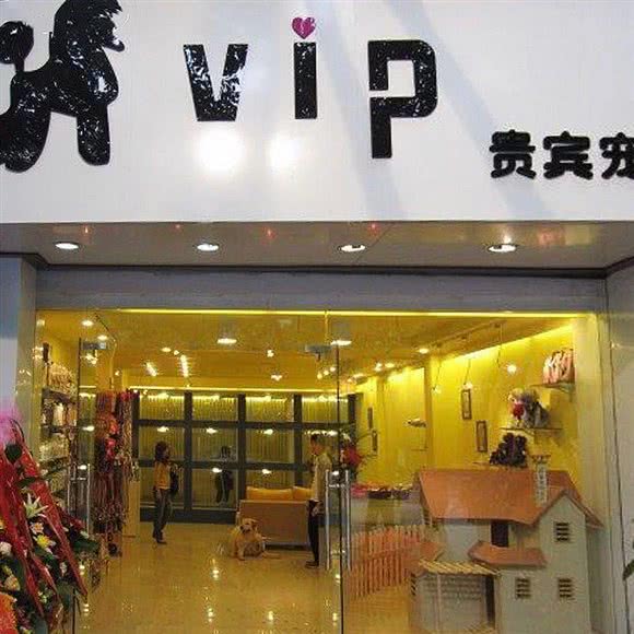 Vip贵宾宠物会所:桂林市七星区会展中心/甲天下广场附近