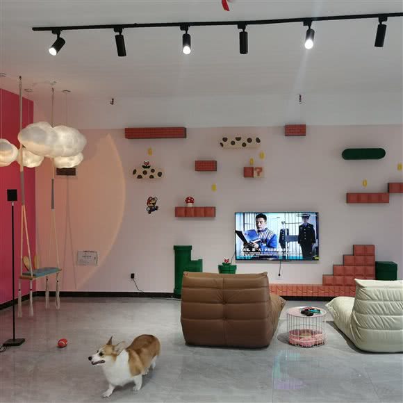 宠爱有佳·柯基豆柴狗咖猫咖·桌游(长安万达店):石家庄市长安区中山东路附近