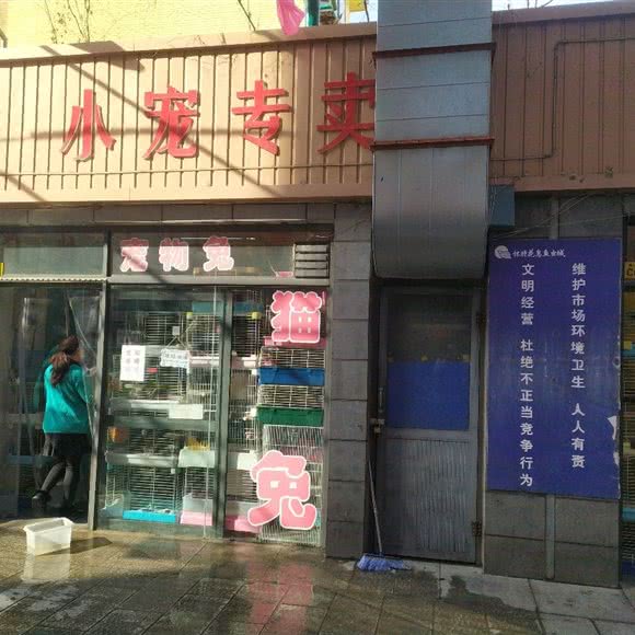 小宠专卖:石家庄市长安区中山东路附近
