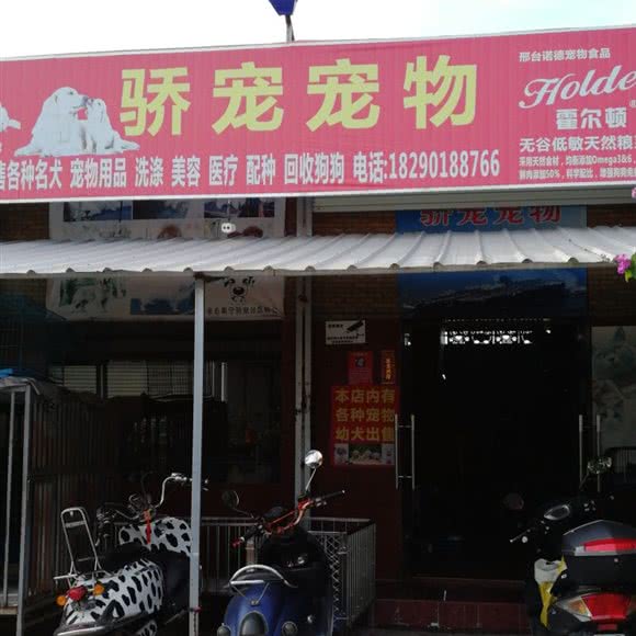 骄宠宠物:钦州市钦南区英华学院／北部湾职校附近