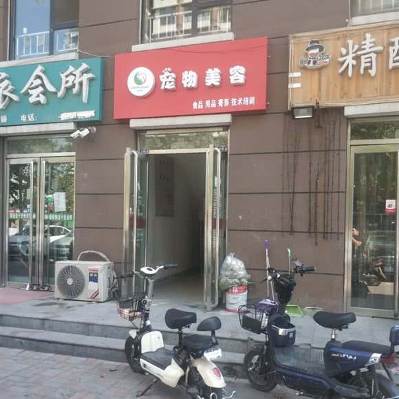 宠佳家宠物美容:石家庄市长安区中山东路附近