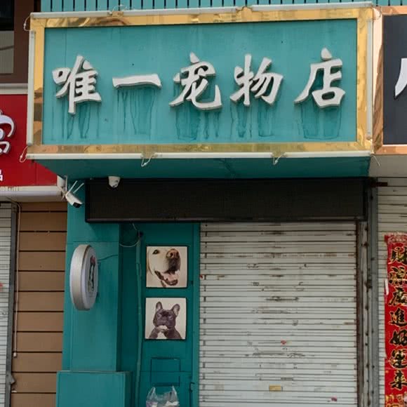 唯一宠物店:石家庄市长安区中山东路附近