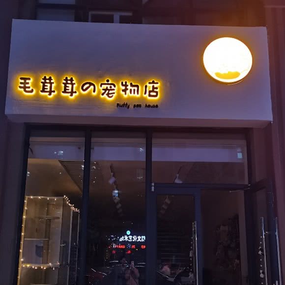 毛茸茸宠物店(长安万达瑞城店):石家庄市长安区中山东路附近