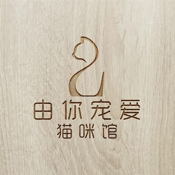 由你宠爱猫咪馆:海口市秀英区假日海滩/西海岸附近