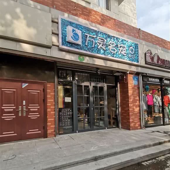 万灵名宠:石家庄市长安区中山东路附近