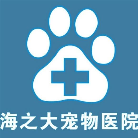 海之大宠物医院:海口市秀英区滨海大道东段附近