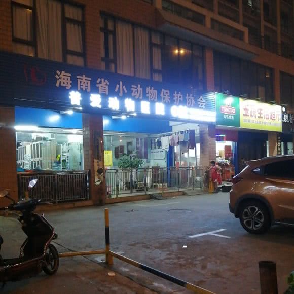 普爱动物医院:海口市秀英区西站附近