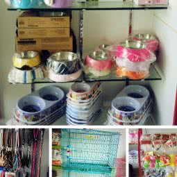 鑫围维宠物会所:海口市秀英区美俗路/美华路附近