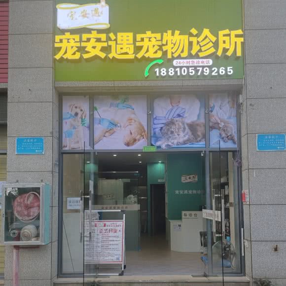 宠安遇宠物诊所:海口市秀英区美俗路/美华路附近