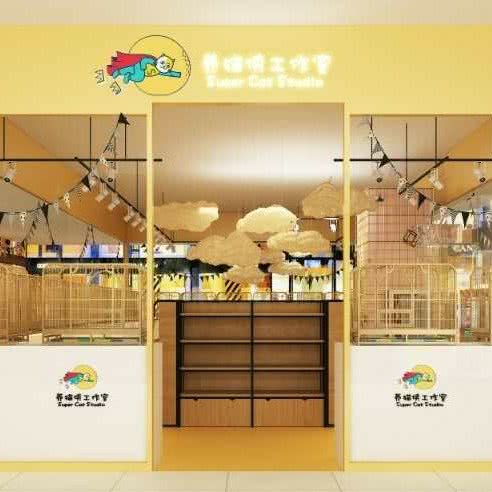 养猫侠工作室(上邦百汇城店):海口市龙华区新友谊阳光城附近