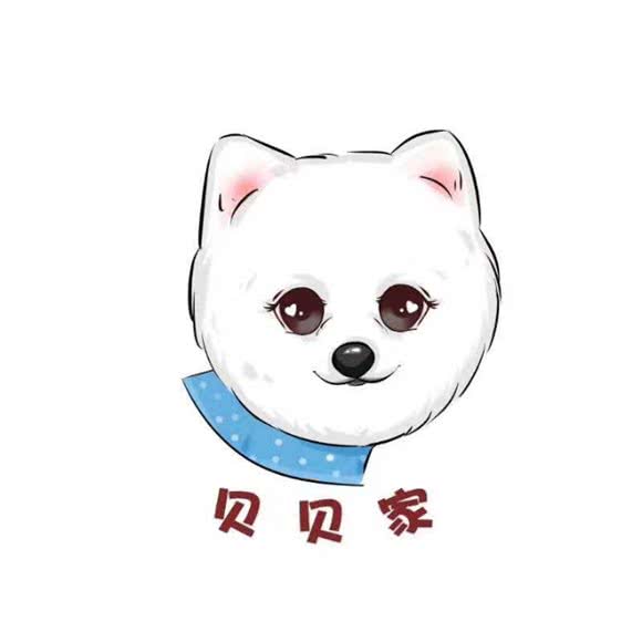 贝贝家宠物店:海口市龙华区人民公园附近