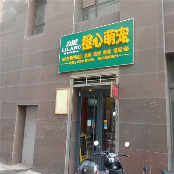 力狼橙心萌宠:石家庄市长安区中山东路附近