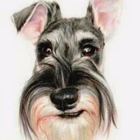 我爱我宠(金宇东路店):海口市龙华区南沙路附近