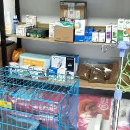 博爱宠物门诊:海口市龙华区南沙路附近