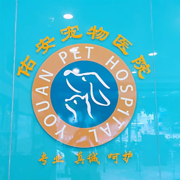 佑安宠物医院:海口市龙华区南沙路附近