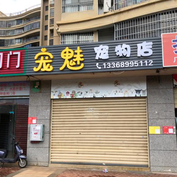 宠魅宠物店:海口市龙华区城西/学院路附近