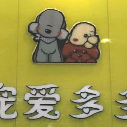 宠爱多多:海口市龙华区海口湾附近